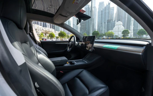 Tesla Model Y Long Range (Белый), 2022