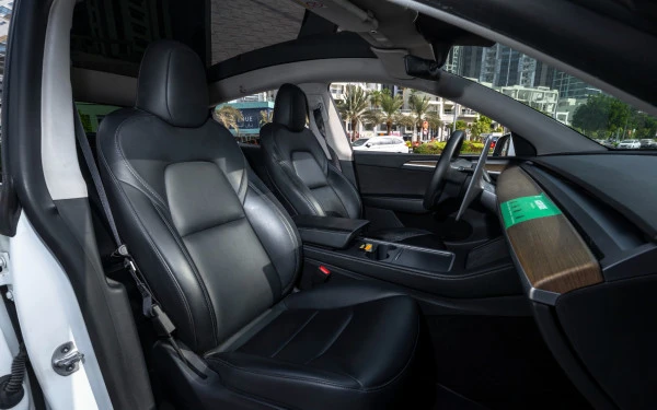 Tesla Model Y Long Range (Белый), 2022