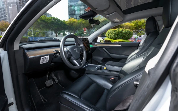 Tesla Model Y Long Range (Белый), 2022
