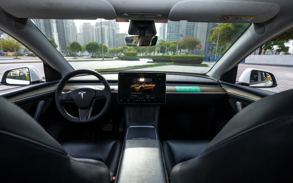 Tesla Model Y Long Range (Белый), 2022