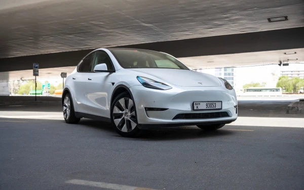 Tesla Model Y Long Range (White), 2022