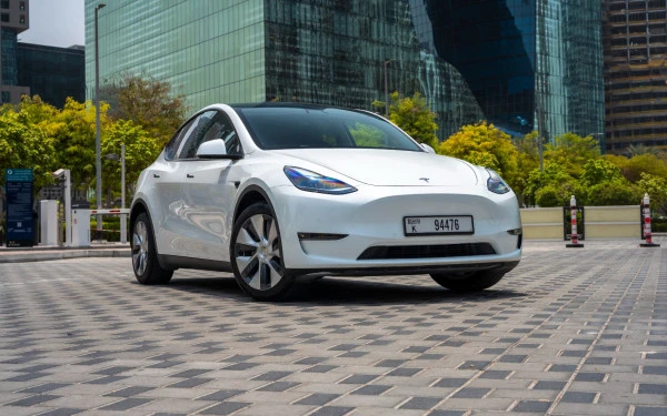 Tesla Model Y Long Range (White), 2022
