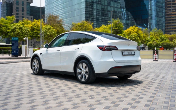 Tesla Model Y Long Range (White), 2022