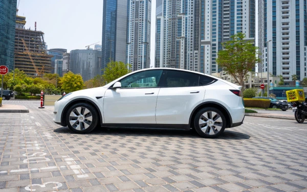 Tesla Model Y Long Range (White), 2022