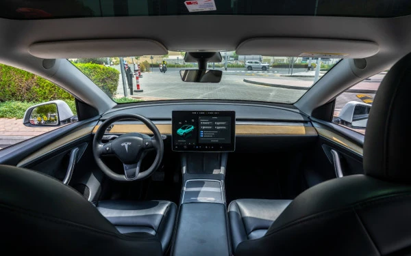 Tesla Model Y Long Range (White), 2022