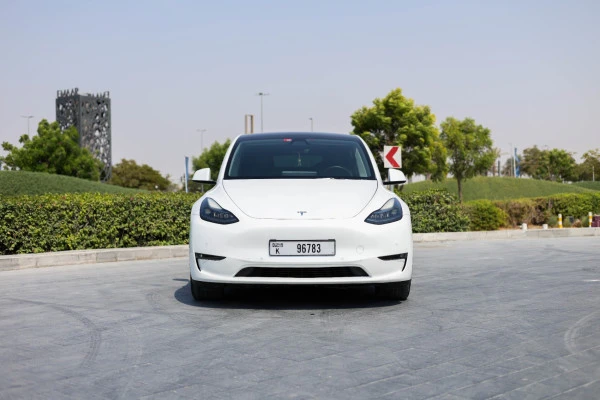 Tesla Model Y Long Range (White), 2022
