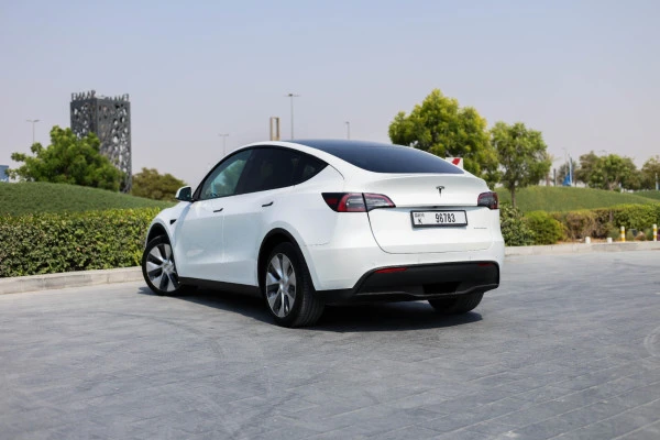Tesla Model Y Long Range (White), 2022