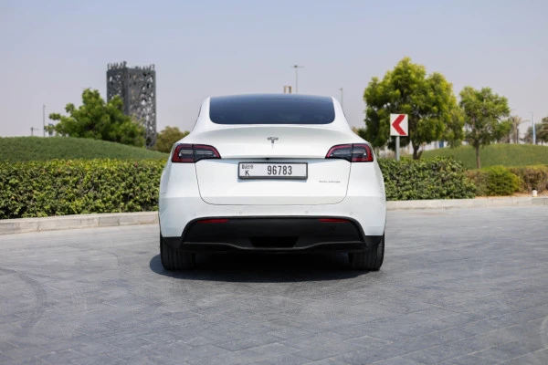 Tesla Model Y Long Range (White), 2022
