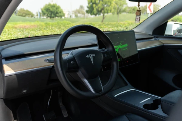 Tesla Model Y Long Range (White), 2022