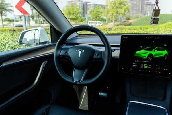Tesla Model Y Long Range (White), 2022