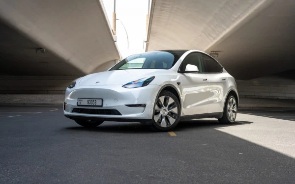 Tesla Model Y Long Range (White), 2022