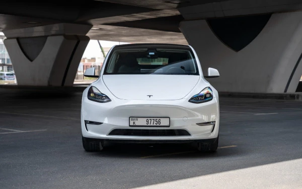 Tesla Model Y Long Range (White), 2023