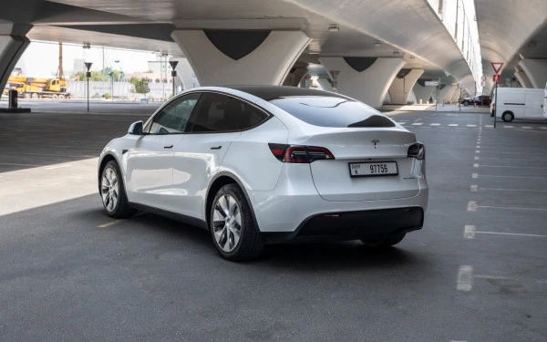 Tesla Model Y Long Range (White), 2023