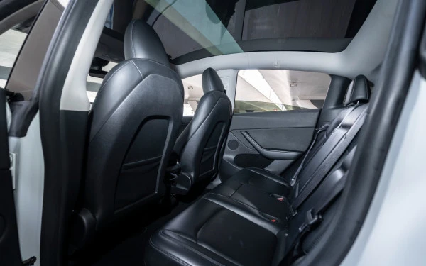 Tesla Model Y Long Range (White), 2023