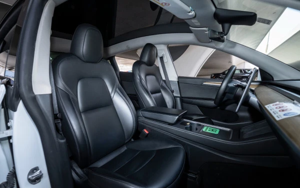 Tesla Model Y Long Range (White), 2023